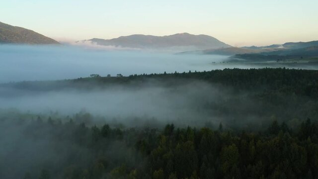 Aerial view on amazing flowing morning fog spreads over green meadows in autumn mountains. Ukrainian Carpathian mountains. UHD 4k video