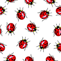 Vector seamless pattern of randomly scattered red ladybugs on white background.