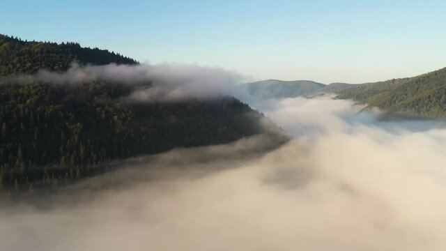 Aerial view on amazing flowing morning fog spreads over green meadows in autumn mountains. Ukrainian Carpathian mountains. UHD 4k video