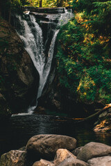 Obraz premium Waterfall in forest