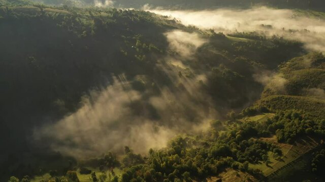 Aerial view on amazing flowing morning fog spreads over green meadows in autumn mountains. Ukrainian Carpathian mountains. UHD 4k video
