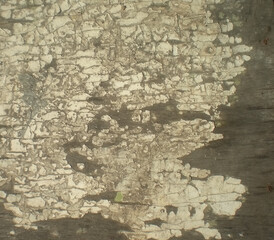 Dirty grunge wooden surface background with old damaged paint