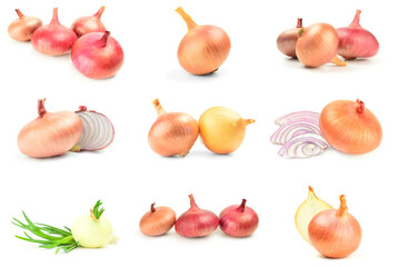 Set of Onion isolated on a white background cutout