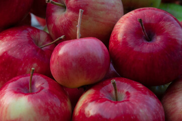 Red apples on a wooden table. High quality photo