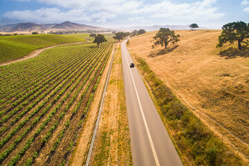 Obraz premium aerial view of vineyards along Happy Canyon Road in the Santa Ynez Valley, California