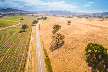 Fototapeta na wymiar aerial view of vineyards along Happy Canyon Road in the Santa Ynez Valley, California