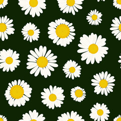 Fototapeta premium Chamomile field vector seamless pattern