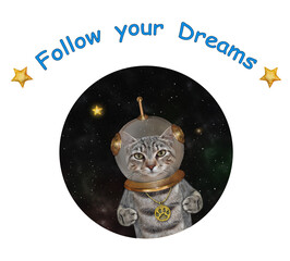 A gray cat astronaut wearing a space suit is in outer space. Follow your dream.