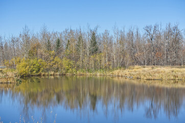 Pylypow Wetlands on a Clear Autumn Day