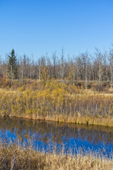 Pylypow Wetlands on a Clear Autumn Day