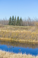 Pylypow Wetlands on a Clear Autumn Day