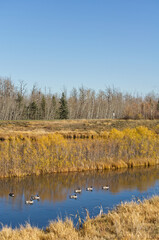 Pylypow Wetlands on a Clear Autumn Day