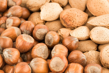 Almonds and hazelnuts