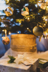 Christmas tree in a pot and gifts
