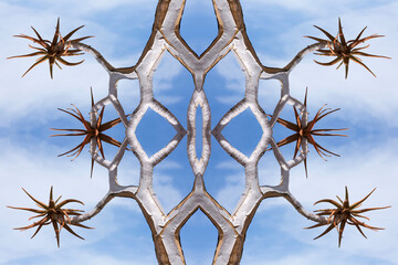 Africa, Namibia. Quiver tree and bark photo montage.