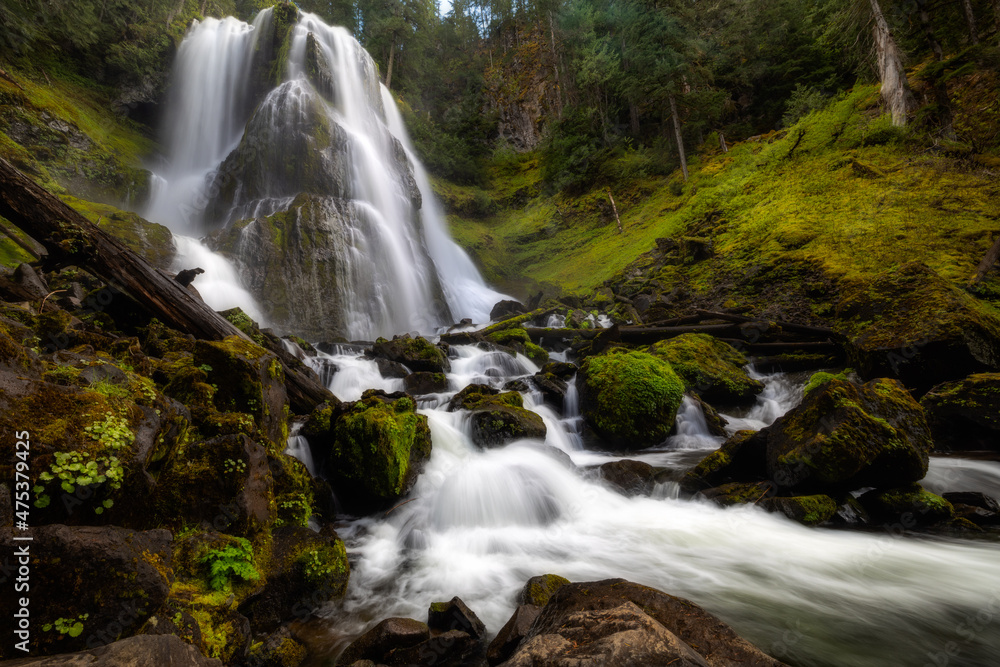 Wall mural Beautiful cascading flowing waterfall in a green forest