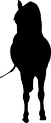 Pony Silhouettes SVG Pony Clipart