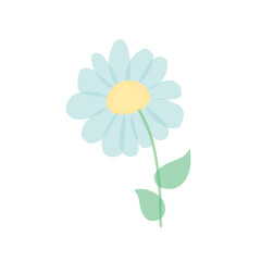 chamomile isolated on white background. Vector illustration of blue daisy flowers with green leaves in cartoon flat style.