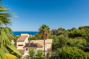 Fototapeta na wymiar Chalet between palm trees and Mediterranean pines with blue sky and sea views