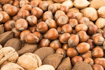 Various nuts background 