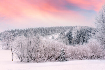 Kalte Jahreszeit –Schneelandschaft in der Natur