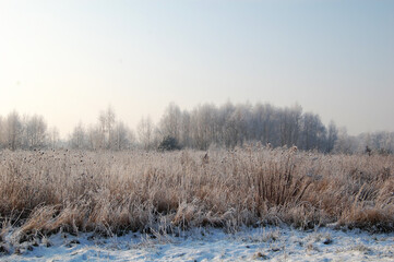 Snowy winter rural landscape.