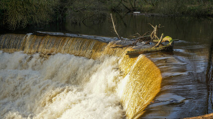 Tree trunk at Etherow Park weir