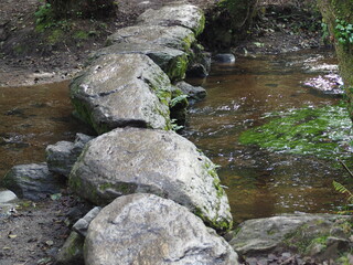 viejo puente sobre el rio catasol en otoño, de arquitectura popular, conocido con el nombre de los pasos porque de piedra a piedra se hace un paso, mellid, la coruña, galicia, españa