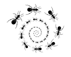 Small ants run in a spiral from larger to smaller. View from above. Vector
