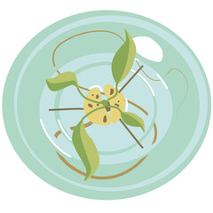 Vector illustration. Avocado seed and sprout in a round vase top view