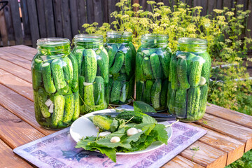 Glass jars, pickles, cucumber, dill, garlic, horseradish and red currant leaves on wooden table. Canning season