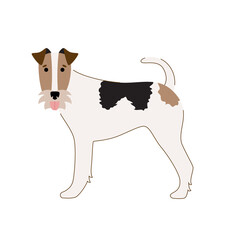 Wire fox terrier isolated on white background. Vector illustration of a pet dog