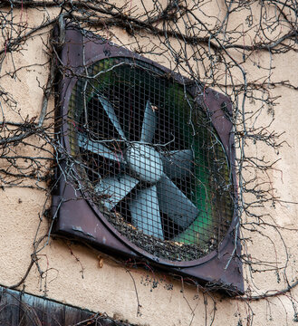 An Old Building Fan Surrounded By Tendrils On A Barn Wall