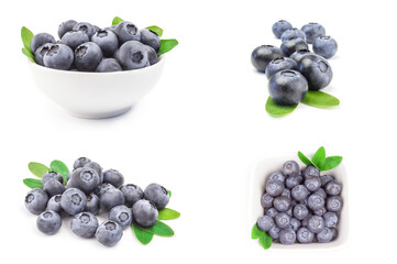 Set of bogbilberry isolated on a white cutout