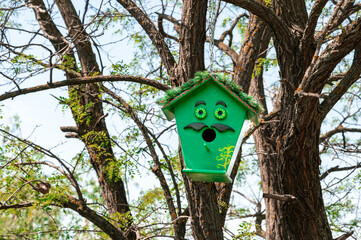 Green wooden birdhouse on tree in spring