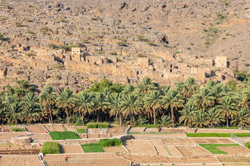 Middle East, Arabian Peninsula, Oman, Ad Dakhiliyah, Al Hamra. The ruins of an ancient village...