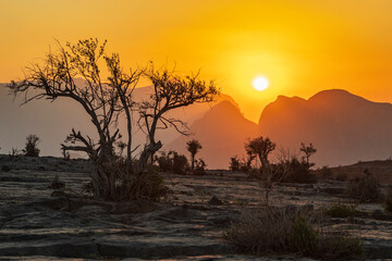 Middle East, Arabian Peninsula, Oman, Ad Dakhiliyah, Al Hamra. The sun setting over mountains in the desert of Oman.