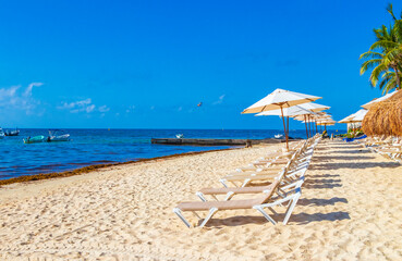 Palms parasols sun loungers beach resort Playa del Carmen Mexico.