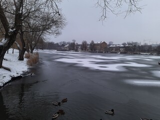 frozen city park in Minsk