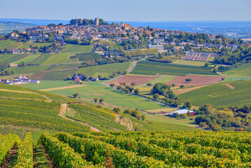 Vignoble près de Sancerre, France