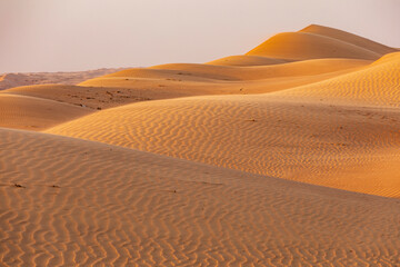Fototapeta na wymiar Middle East, Arabian Peninsula, Ash Sharqiyah North, Bidiyah. Sand dunes in the desert of Oman.