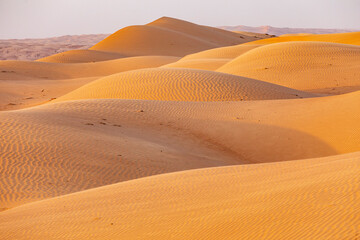 Middle East, Arabian Peninsula, Ash Sharqiyah North, Bidiyah. Sand dunes in the desert of Oman.