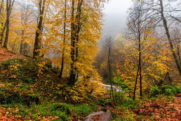 Obraz premium Suuctu Waterfall in Bursa District of Turkey