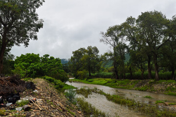 Fototapeta na wymiar river in the forest of Yerbabuena, Chante, Jalisco 