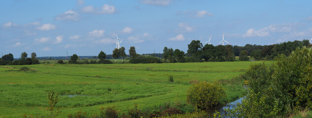 Lunewiesen