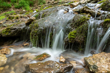 Fototapeta premium waterfall in the forest