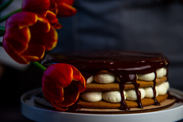 A cake with honey cakes and white cream stands on a white stand and is poured with chocolate on top, next to it are tulips, all in warm colors. High quality photo