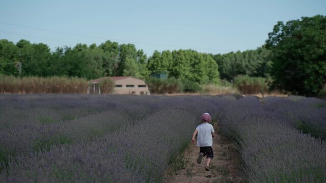 A child in pink cap running away the camera along the flower field in a countryside on the fresh air