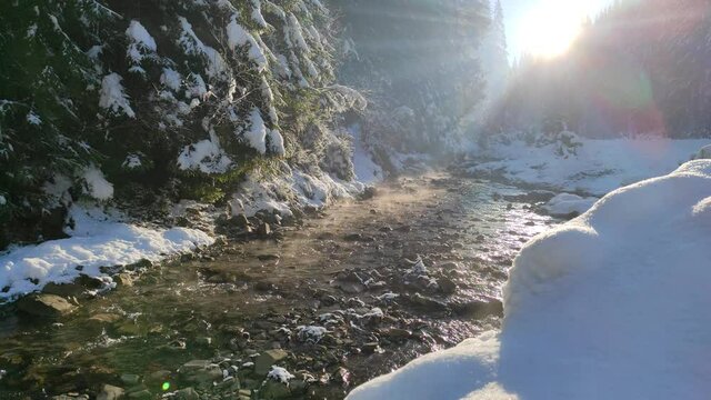сhristmas tale. early morning in the forest. the rays of the sun pass through fir trees. winter landscape. mountain river. spruces and trees covered with snow. natural sound