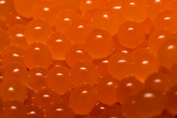 Atlantic Salmon eggs